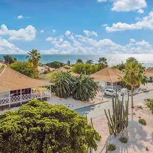 Papagayo (adults Only) 4* Willemstad